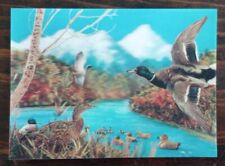 Postcard mallard ducks for sale  Marine City