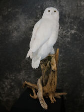 Reproduction snow owl for sale  Wrightstown