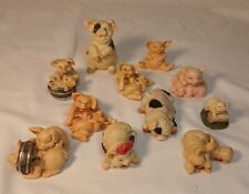 Toy miniature pigs for sale  San Antonio