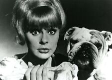 Elke sommer ... d'occasion  Paris XIII