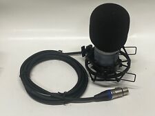 Bonito micrófono condensador AKG Blue Perception 220 con cable, manual y montaje segunda mano  Embacar hacia Argentina