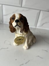 cavalier king charles for sale  LUTON