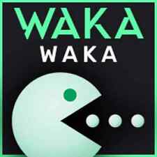 Waka waka v4.37 usato  Torino