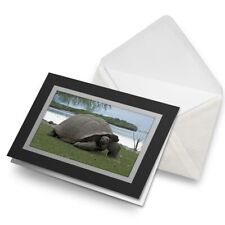 Greetings card aldabra for sale  Shipping to Ireland