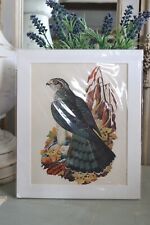 Vintage falcon bird for sale  LEICESTER