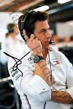 Toto wolff pit for sale  UK