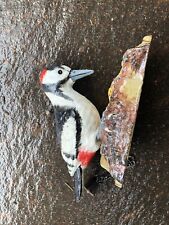 Woodpecker cast iron for sale  HOLYWOOD