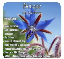 Borage seeds edible d'occasion  Expédié en Belgium