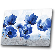 Poppy flower blue for sale  STRABANE