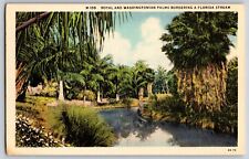 Florida FL - Palmas Reales y Washingtonianas - Postal De Colección - Publicada 1937 segunda mano  Embacar hacia Argentina
