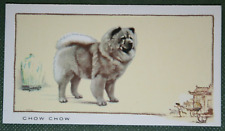 Cartão de cachorro CHOW CHOW vintage década de 1930 ilustrado BD26 comprar usado  Enviando para Brazil