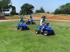 Electric quad bikes for sale  HEATHFIELD