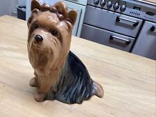 Silvac yorkshire terrier for sale  FROME