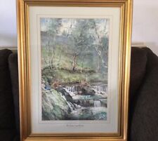 salmon framed for sale  LEICESTER
