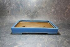 Genuine Japanese Bonsai pot "Tosui" for sale  Shipping to South Africa