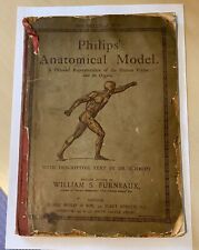 Antique philip anatomical for sale  TETBURY