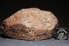 Haggounia chondrite meteorite for sale  Rumson
