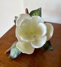 garden magnolia for sale  San Francisco