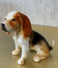 Dog beagle puppy for sale  DERBY