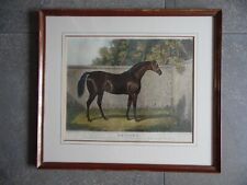 Herring portrait racehorse for sale  Shipping to Ireland
