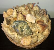 Basket seashells coral for sale  Satellite Beach