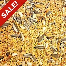 Exotic bird mix for sale  CARDIFF