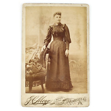 Homestead Pennsylvania Lady Cabinet Card c1885 cadeira estofada foto B3232 comprar usado  Enviando para Brazil