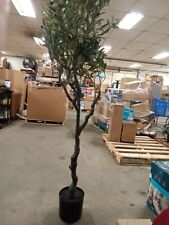 Vynt olive tree for sale  Kansas City