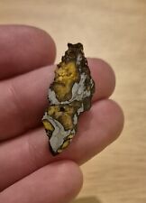 Imiliac pallasite pmg for sale  PLYMOUTH