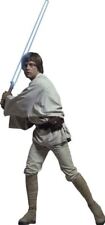 Large luke skywalker for sale  Portland