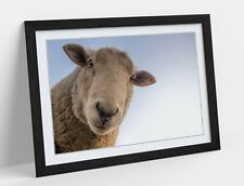 Curious sheep art for sale  Shipping to Ireland