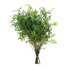 Bund pistazienblätter grün gebraucht kaufen  Straubing