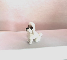 miniature french poodle for sale  Chula Vista