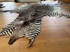 Hartmann bergzebra zebrafell gebraucht kaufen  Wittenborn