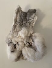 Vintage preserved rabbit for sale  PENARTH