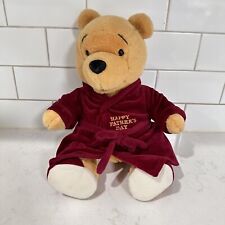 Disney Winnie the Pooh Oso Feliz Día del Padre Peluche Juguete Bata Zapatillas segunda mano  Embacar hacia Argentina