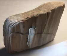 Petrified wood collection for sale  Sioux City