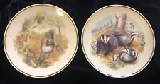 Pair wildlife britain for sale  STANLEY