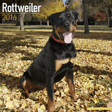 Calendrier 2016 rottweiler d'occasion  Troyes