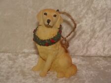 Golden lab dog for sale  Augusta