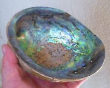 abalone shells for sale  Redlands