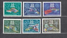 DDR  1976– Mi. Nr 2176-2181  (kompl. Edycja)  Ryby ozdobne MNH na sprzedaż  PL