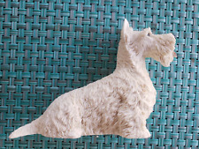 Handsome white terrier for sale  Edgewater