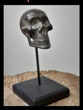 Crâne crâne bronze d'occasion  Buchy