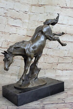 Arabian horse colt for sale  Westbury