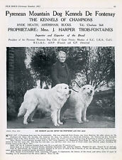 PYRENEAN MOUNTAIN DOG BREED KENNEL ADVERT PRINT PAGE OUR DOGS 1951 DE FONTENAY for sale  COLEFORD