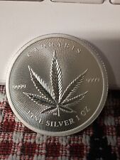 2024 cannabis silver for sale  North Manchester