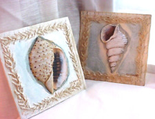 Kate mcrostie seashell for sale  Fairfax