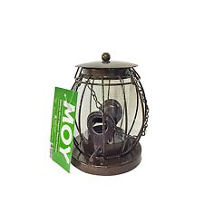 Mini lantern seed for sale  Ireland