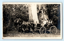 C.1890 photograph horse for sale  Bellingham